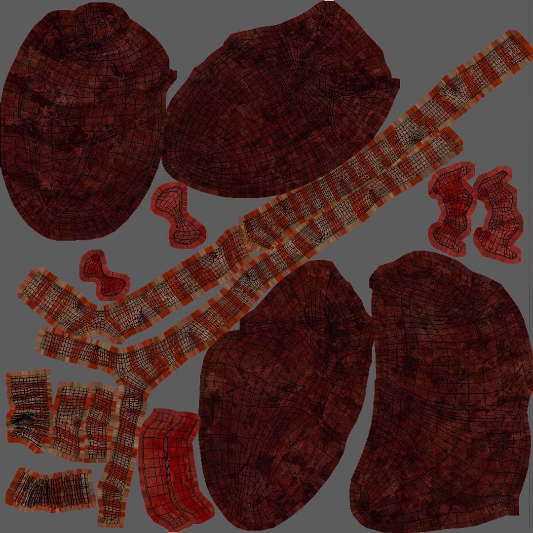 smoker s lungs 3D model https://p.turbosquid.com/ts-thumb/5X/qS326J/Mfk2ktvD/uvmap/jpg/1607624413/1920x1080/fit_q87/fdad00ebfbfe865d14481e67033dcee7c57e8cda/uvmap.jpg
