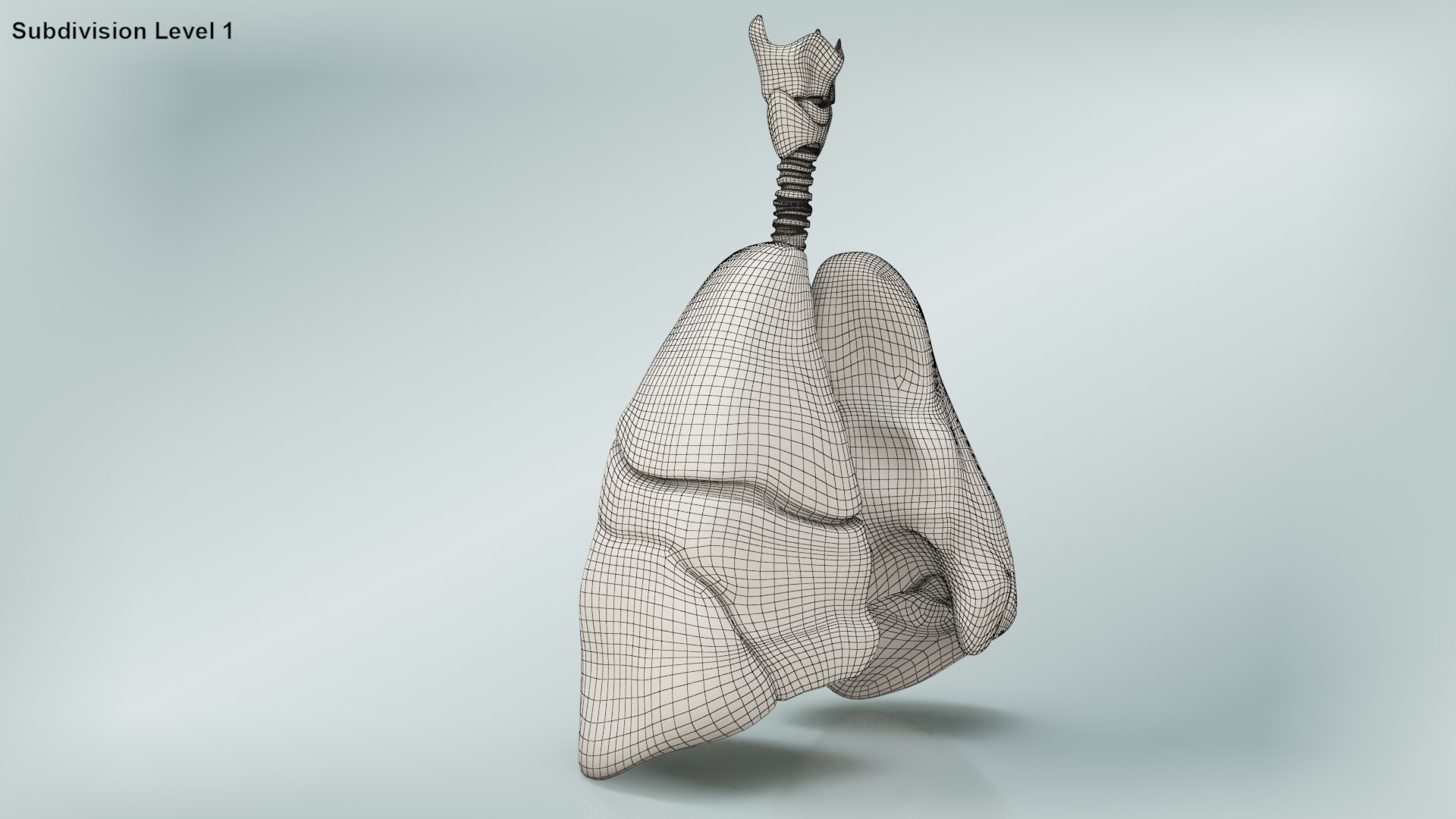 smoker s lungs 3D model https://p.turbosquid.com/ts-thumb/5X/qS326J/PsAb0wK1/wire0004copy/jpg/1607547828/1920x1080/fit_q87/7cc62632ea54e65ad352875e8f0cf767ecbeb7b9/wire0004copy.jpg