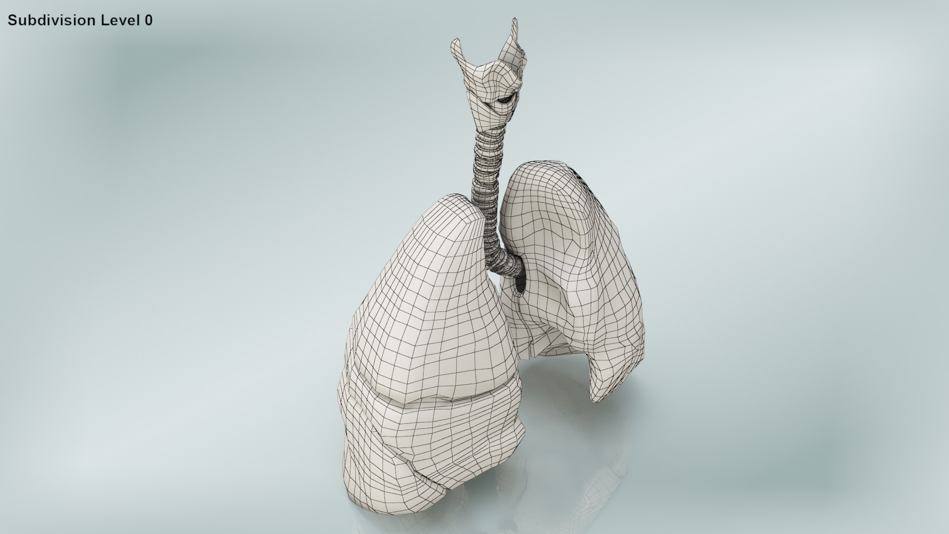 smoker s lungs 3D model https://p.turbosquid.com/ts-thumb/5X/qS326J/W6CQzuFJ/wire0006/jpg/1607547828/1920x1080/fit_q87/2dc49935f3a833e0e69f0d633453185448157681/wire0006.jpg