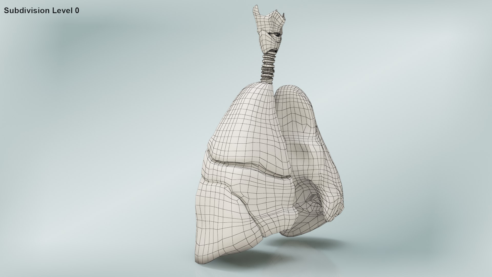 smoker s lungs 3D model https://p.turbosquid.com/ts-thumb/5X/qS326J/fSuEk32U/wire0004/jpg/1607547828/1920x1080/fit_q87/6e5135354e09f12b236780d8b14a961c139dace8/wire0004.jpg