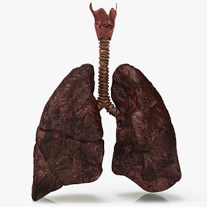 Smoker's Lungs