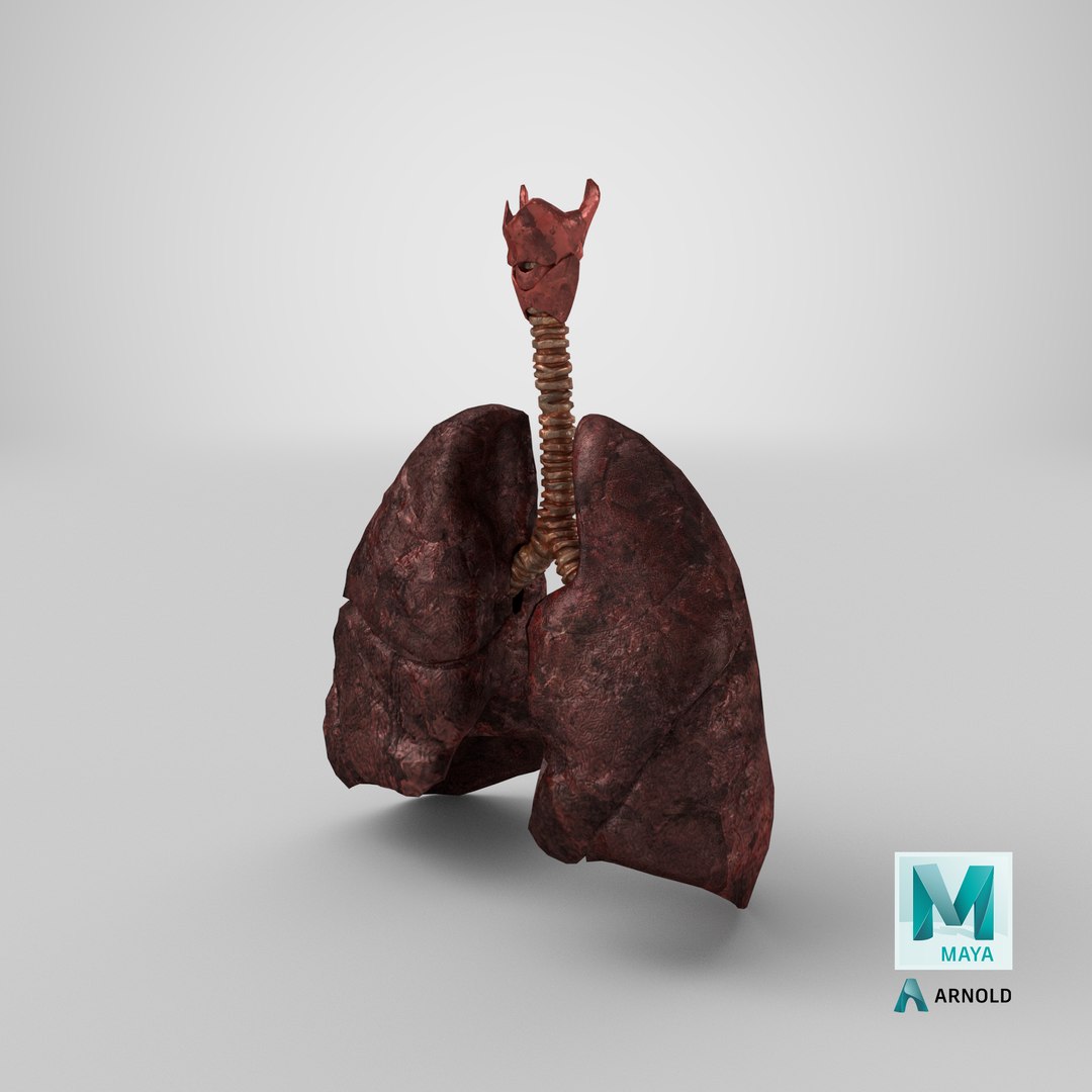 smoker s lungs 3D model https://p.turbosquid.com/ts-thumb/5X/qS326J/vFhjhvkT/stemcell_maya_arnold_render/png/1609938159/1920x1080/fit_q87/fa2a16e85058f5bf9e03561b78214905aad50f46/stemcell_maya_arnold_render.jpg