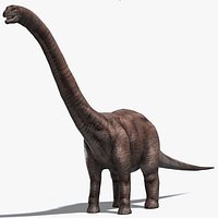 Brontosaurus