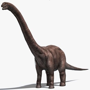 Brontosaurus