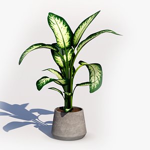 3D Plant pot 02