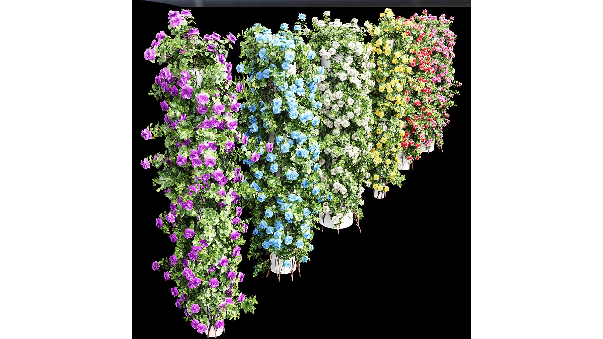 3D Model New Plant High Detail Climbing Roses Cylinder Columns ...