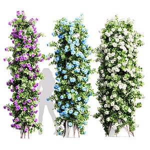 New Plant High detail Climbing Roses Cylinder Columns