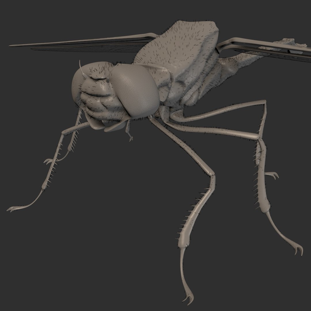 3d dragonfly animation https://p.turbosquid.com/ts-thumb/5Y/A4YEhE/cMvFKJPu/libellule_08/jpg/1432991060/1920x1080/fit_q87/d0cf376ce7079e32b969607be1f90d94adec9eb2/libellule_08.jpg