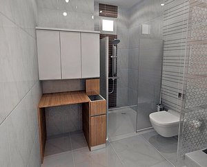 bathroom 3d x