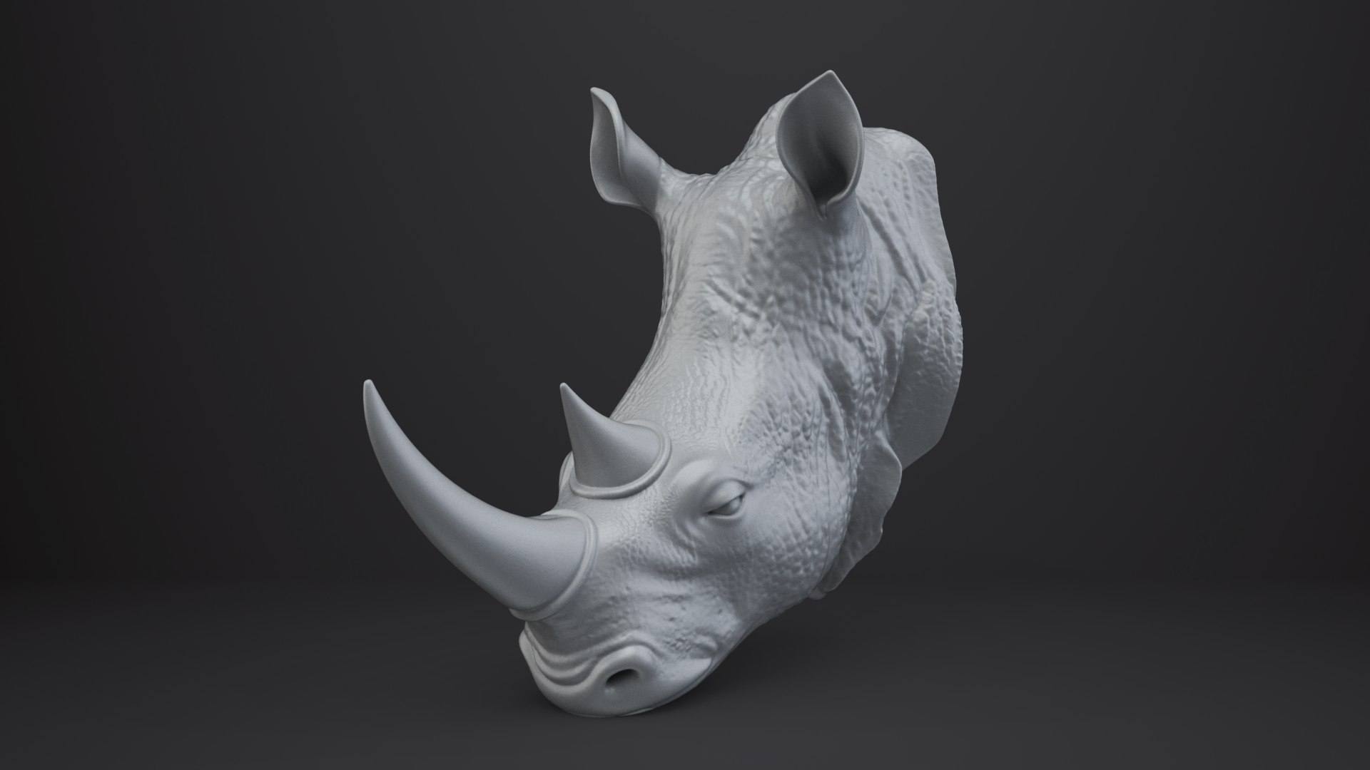 3D Rhinoceros Bust - Animal Figurine https://p.turbosquid.com/ts-thumb/5Y/UFC1Ap/2N/002/png/1762842580/1920x1080/fit_q87/78c54539b62da6e853efaa563bc1568cecff9a73/002.jpg