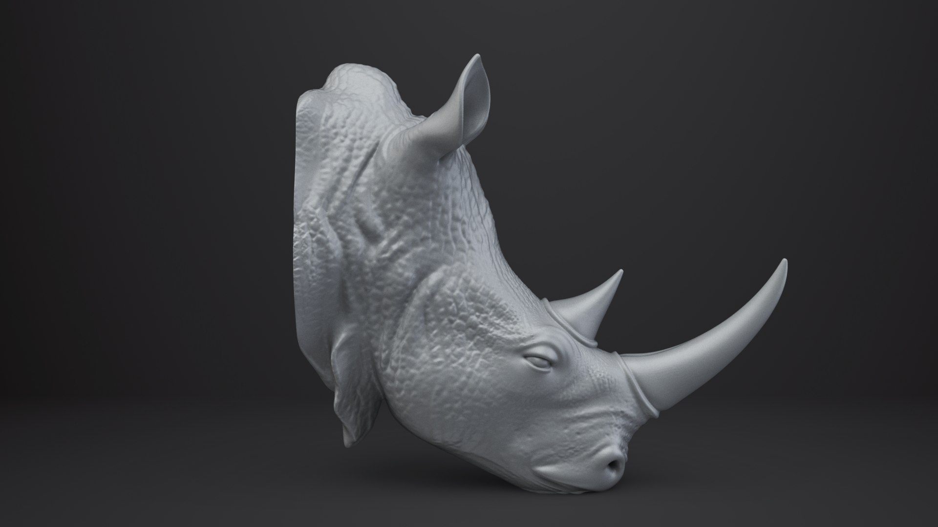 3D Rhinoceros Bust - Animal Figurine https://p.turbosquid.com/ts-thumb/5Y/UFC1Ap/54/007/png/1762842582/1920x1080/fit_q87/19e2c5b851e59492dd4526b590582d02b1965302/007.jpg