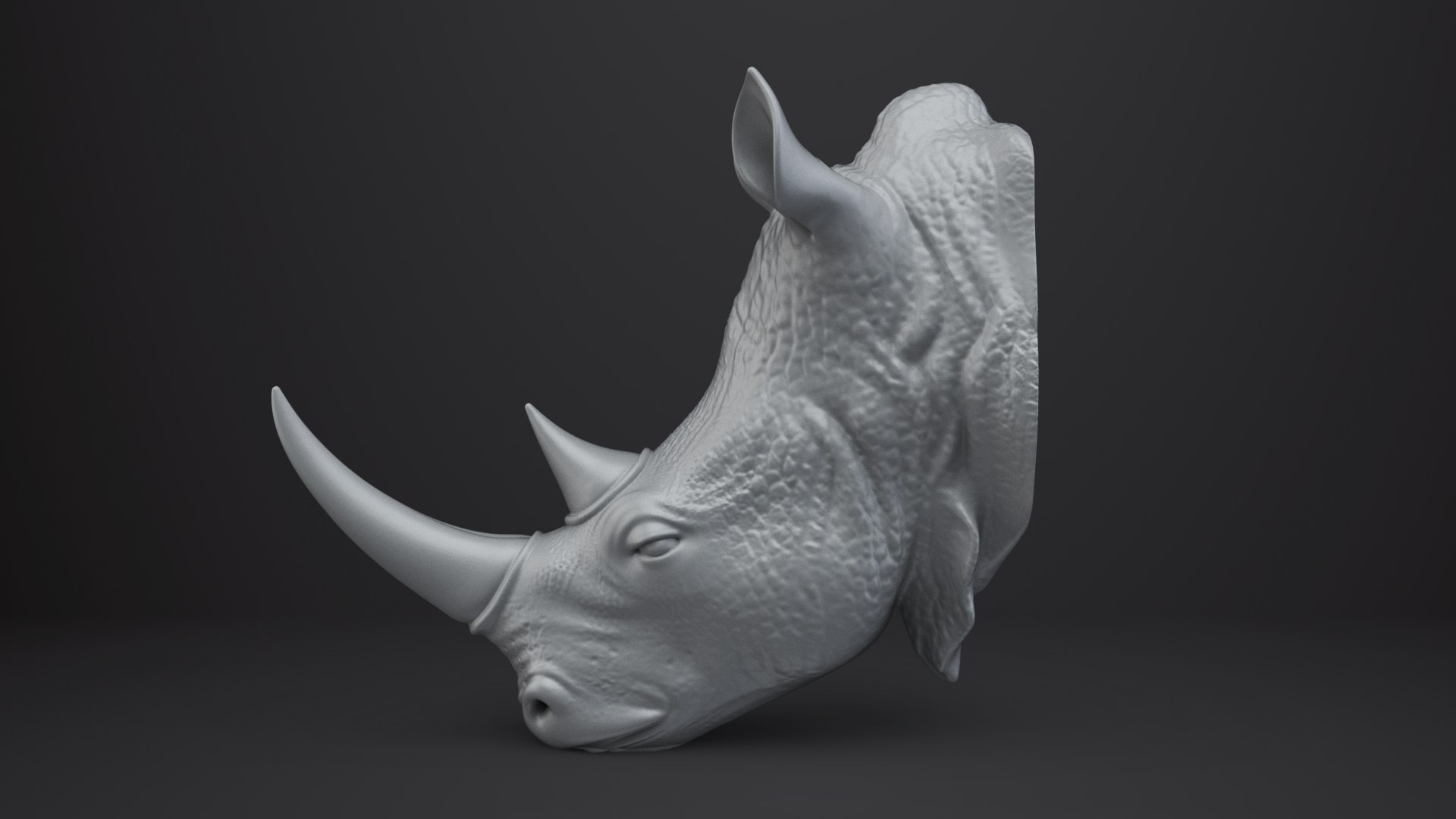 3D Rhinoceros Bust - Animal Figurine https://p.turbosquid.com/ts-thumb/5Y/UFC1Ap/Ex/003/png/1762842579/1920x1080/fit_q87/5da80e38efa102cefd171a465a856a855d9a6432/003.jpg