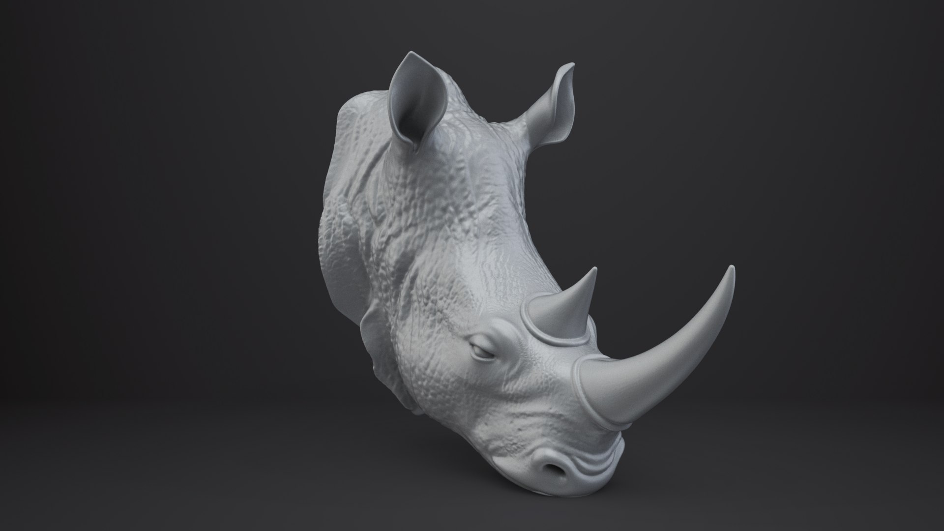 3D Rhinoceros Bust - Animal Figurine https://p.turbosquid.com/ts-thumb/5Y/UFC1Ap/zX/008/png/1762842583/1920x1080/fit_q87/201b8c65c98e633a8b85bd7eda7bde8b73522267/008.jpg