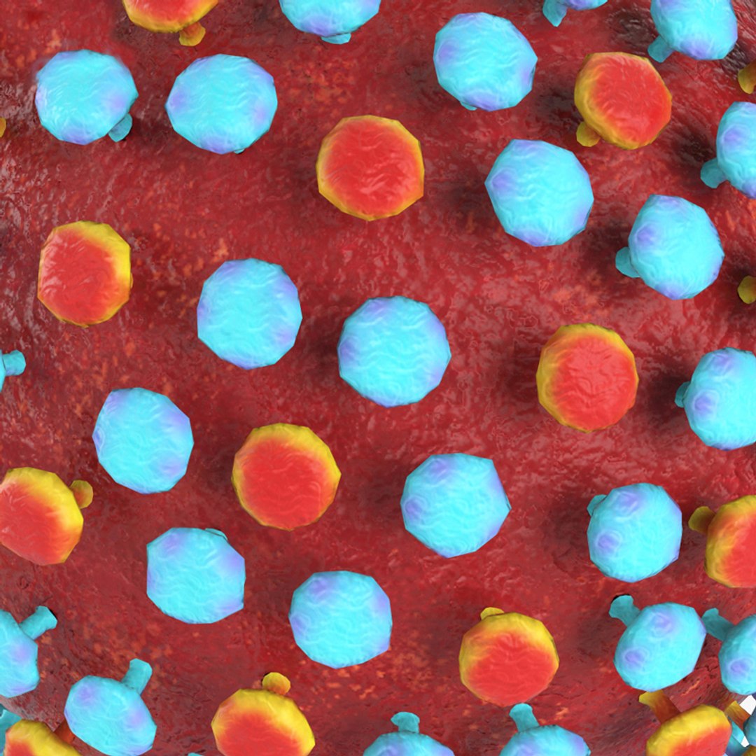 Hepatitis c 3D - TurboSquid 1680921