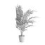 Versão de canto Dypsis lutescens