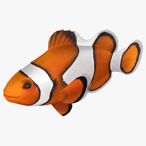 3D clownfish rigged