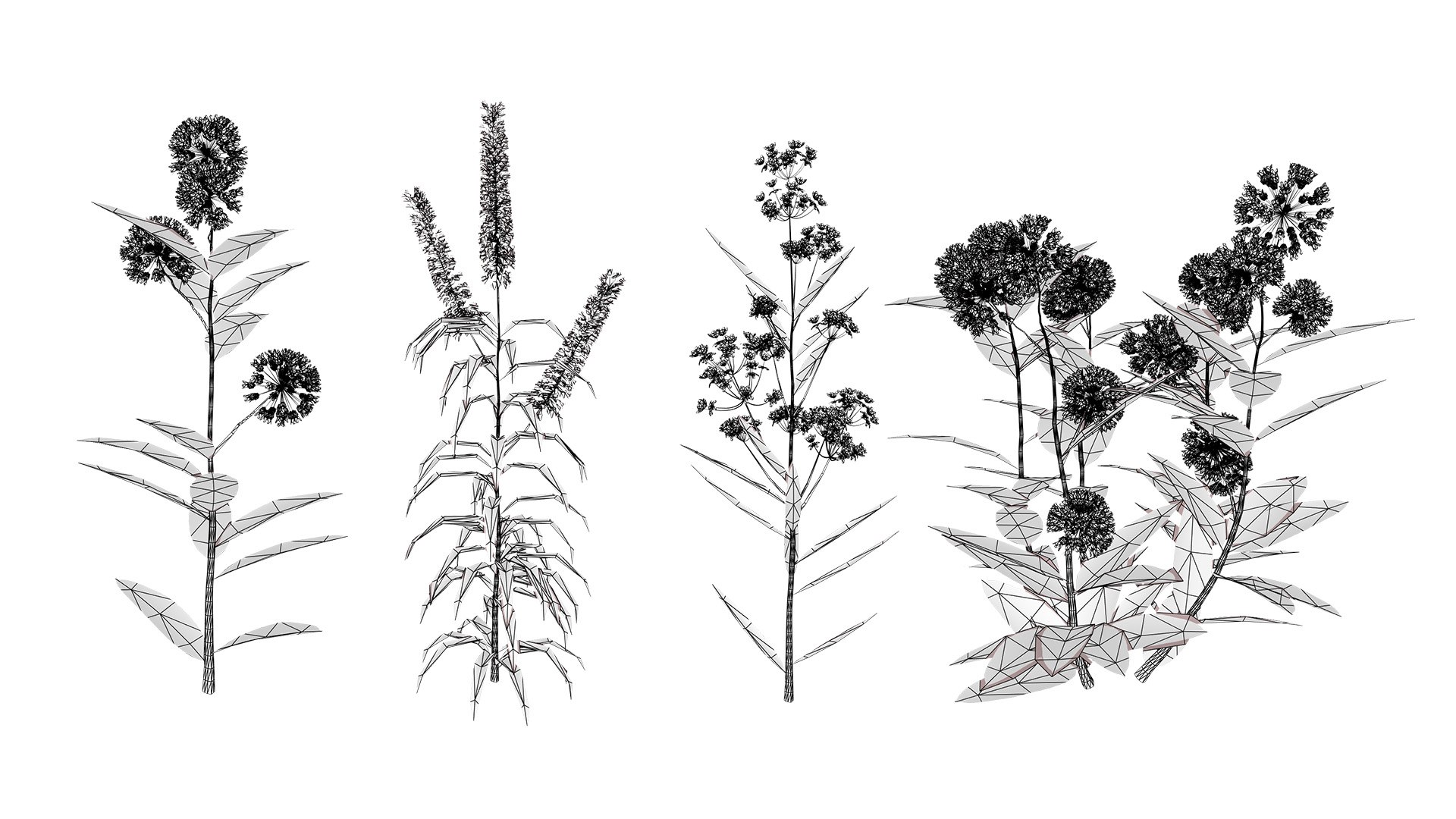 3D model Wildflower Meadow Bundle https://p.turbosquid.com/ts-thumb/5Y/hF4Ber/2i/wirel/jpg/1774814561/1920x1080/fit_q87/1ec9c208ff8468631914eaee207f61cd6741cfd4/wirel.jpg