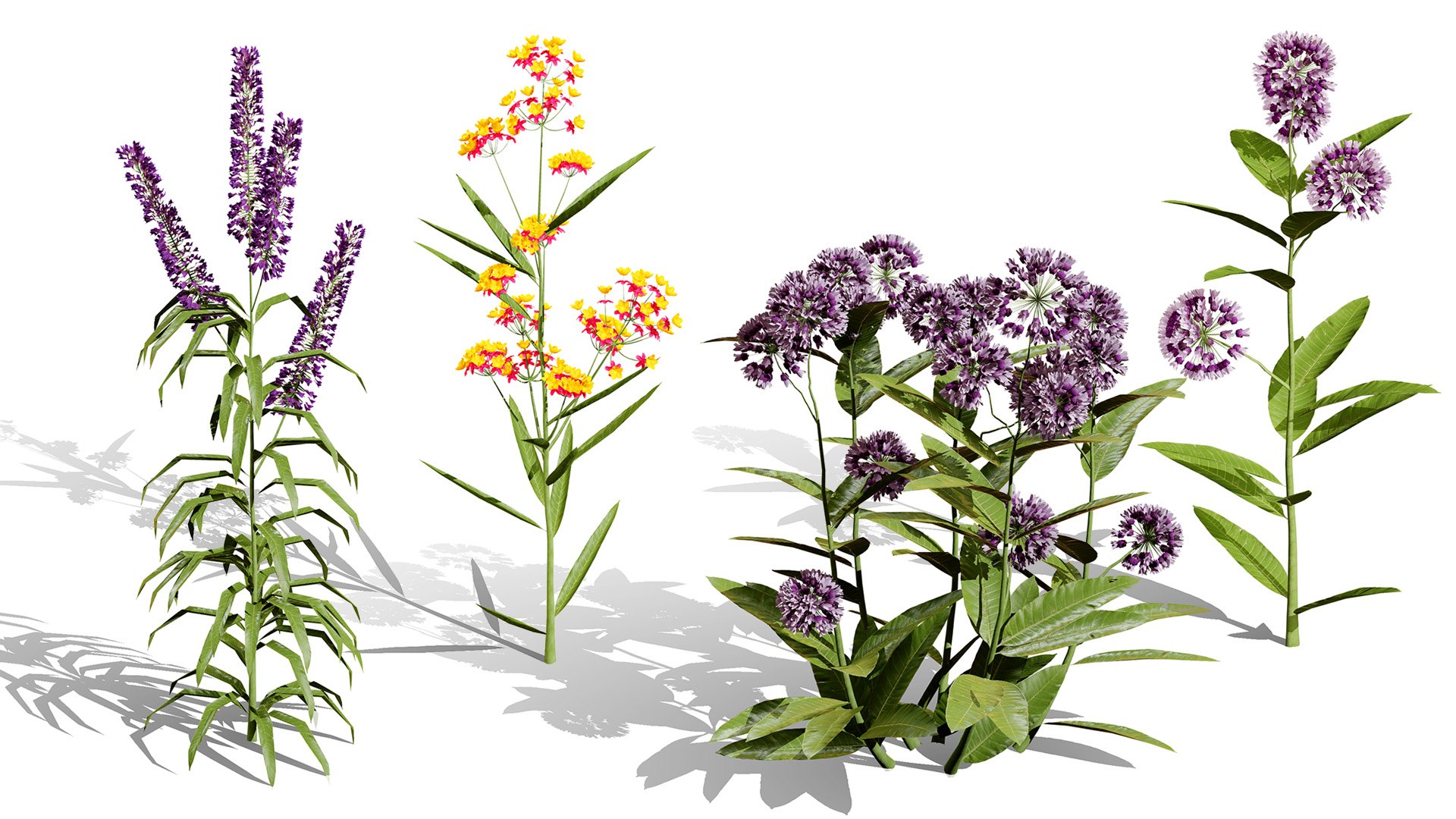 3D model Wildflower Meadow Bundle https://p.turbosquid.com/ts-thumb/5Y/hF4Ber/AZ/00artcoverbutterflyweed/jpg/1774814556/1920x1080/fit_q87/95207dd9e9012c0cfeee4b17b52650ceea4fc3ab/00artcoverbutterflyweed.jpg