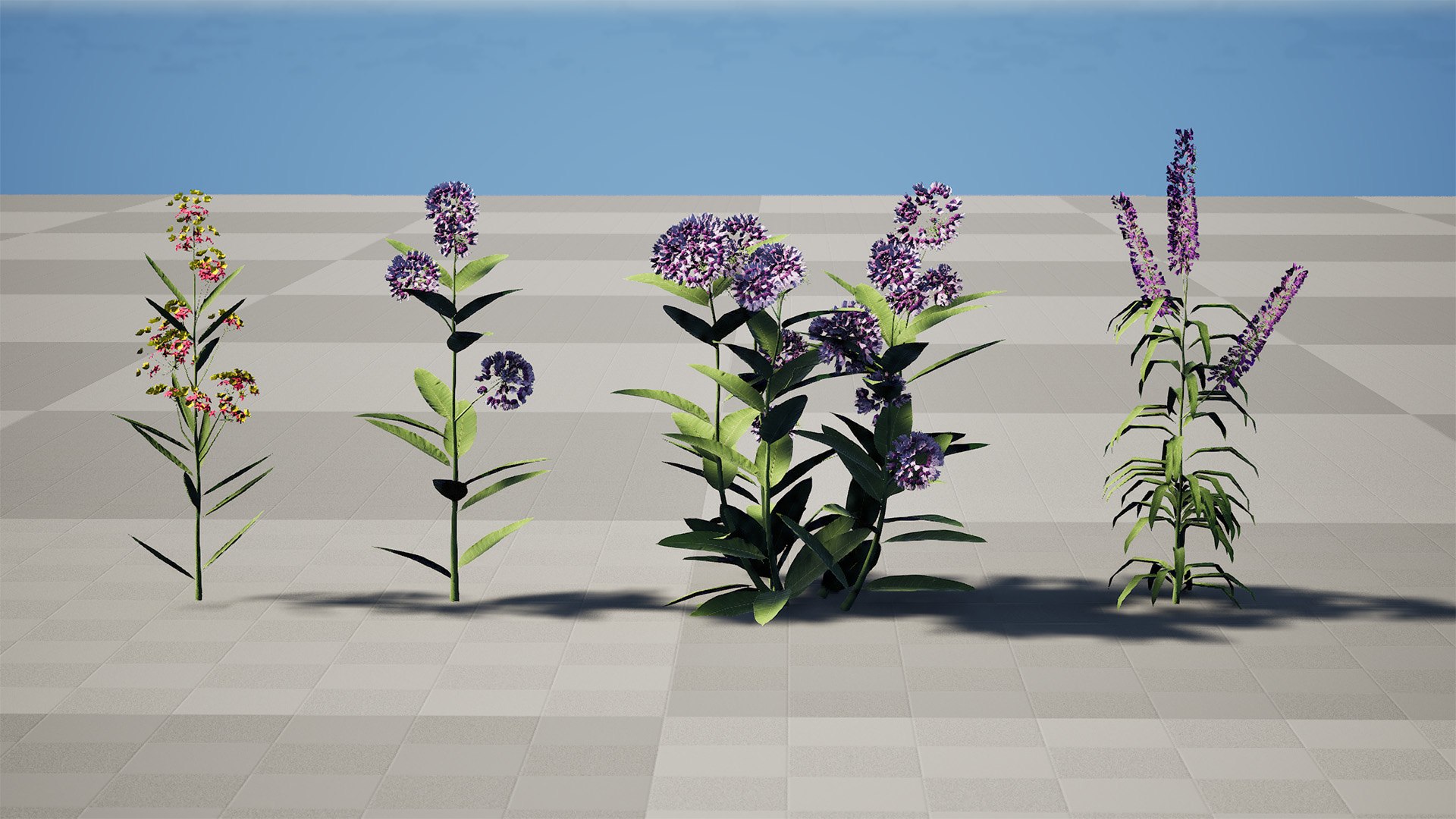 3D model Wildflower Meadow Bundle https://p.turbosquid.com/ts-thumb/5Y/hF4Ber/Yy/highresscreenshot00001/jpg/1774814559/1920x1080/fit_q87/ccc1ea5dfbcf006bec4b1f48b82b4ca11a77d66a/highresscreenshot00001.jpg