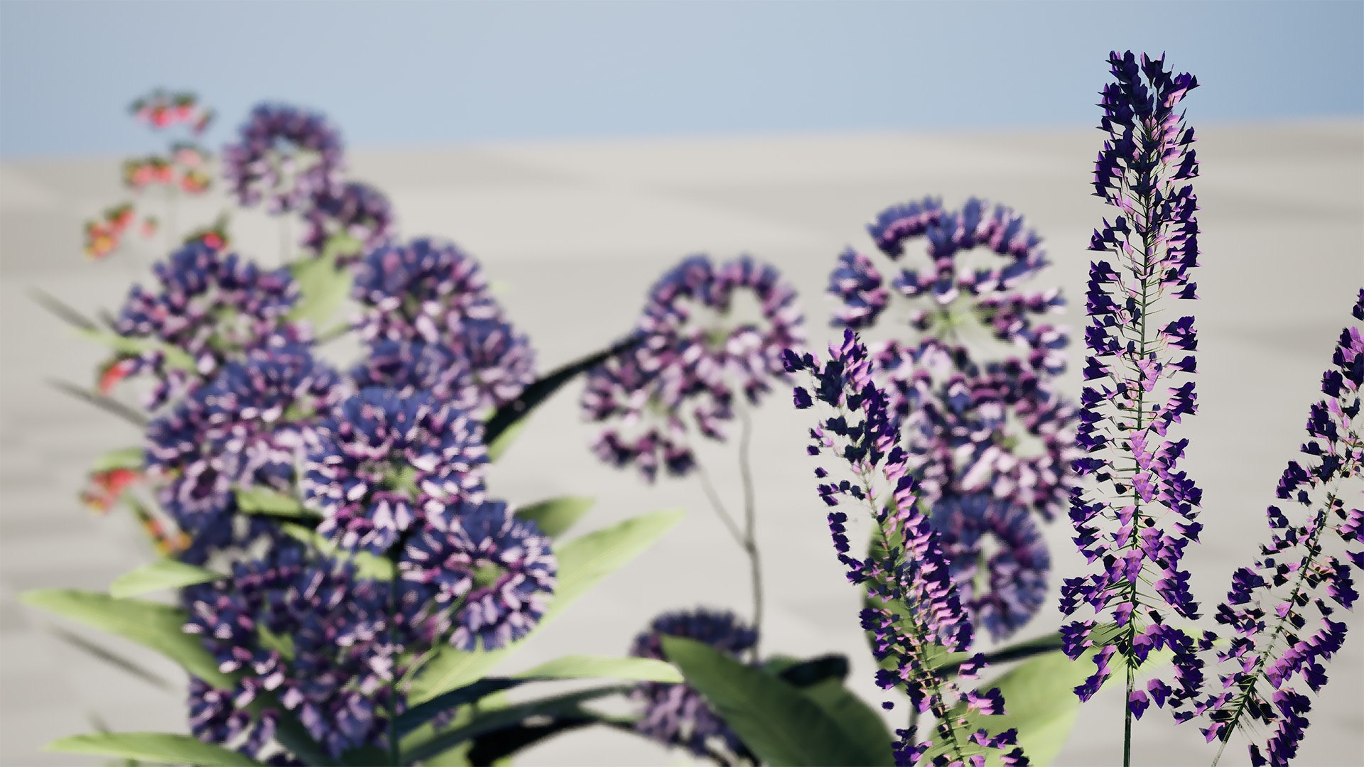 3D model Wildflower Meadow Bundle https://p.turbosquid.com/ts-thumb/5Y/hF4Ber/rJ/highresscreenshot00002/jpg/1774814560/1920x1080/fit_q87/04f7bf19db86bbf8b724ff71082205bfed836f90/highresscreenshot00002.jpg