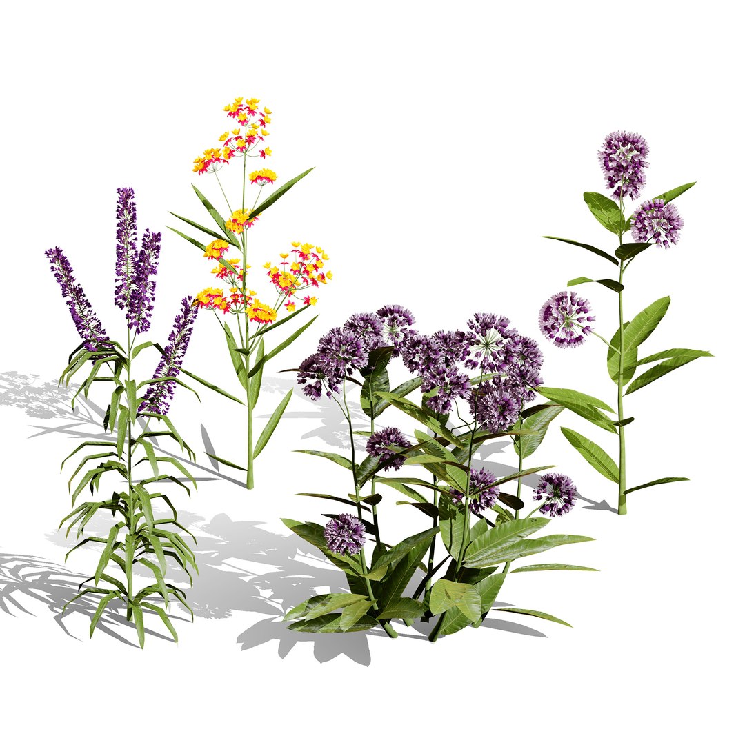 3D model Wildflower Meadow Bundle https://p.turbosquid.com/ts-thumb/5Y/hF4Ber/vI/000coverbutterflyweed/jpg/1774814556/1920x1080/fit_q87/c68038c989c6722f12ba4619894ce870d5b53072/000coverbutterflyweed.jpg