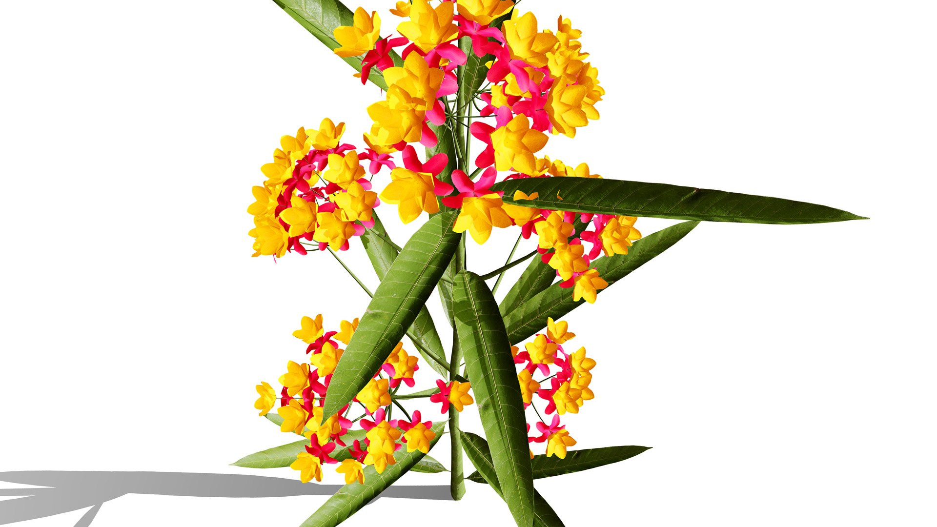 3D model Wildflower Meadow Bundle https://p.turbosquid.com/ts-thumb/5Y/hF4Ber/xm/zbutterflyweedz23l/jpg/1774814562/1920x1080/fit_q87/7b88a8ddc1d80b5bc3db20c652bc56de39fb5c90/zbutterflyweedz23l.jpg