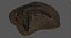 Crocodile Fossil