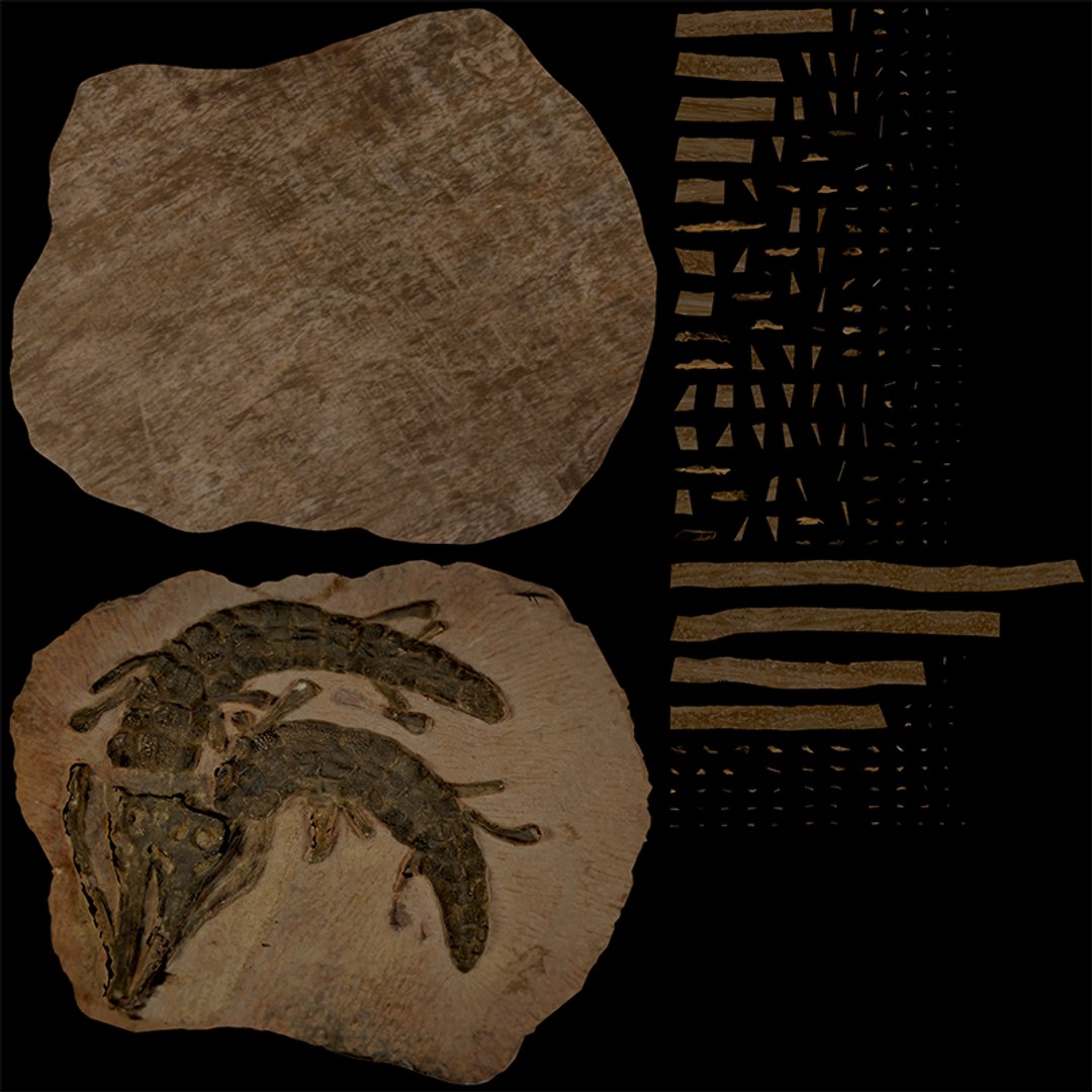 3D crocodile fossil https://p.turbosquid.com/ts-thumb/5Y/vTQ6ry/CXNkkkyX/uv1/png/1562373894/1920x1080/fit_q87/48b3e2dbb01e8b805e1a094d92ff24cecbe41bad/uv1.jpg