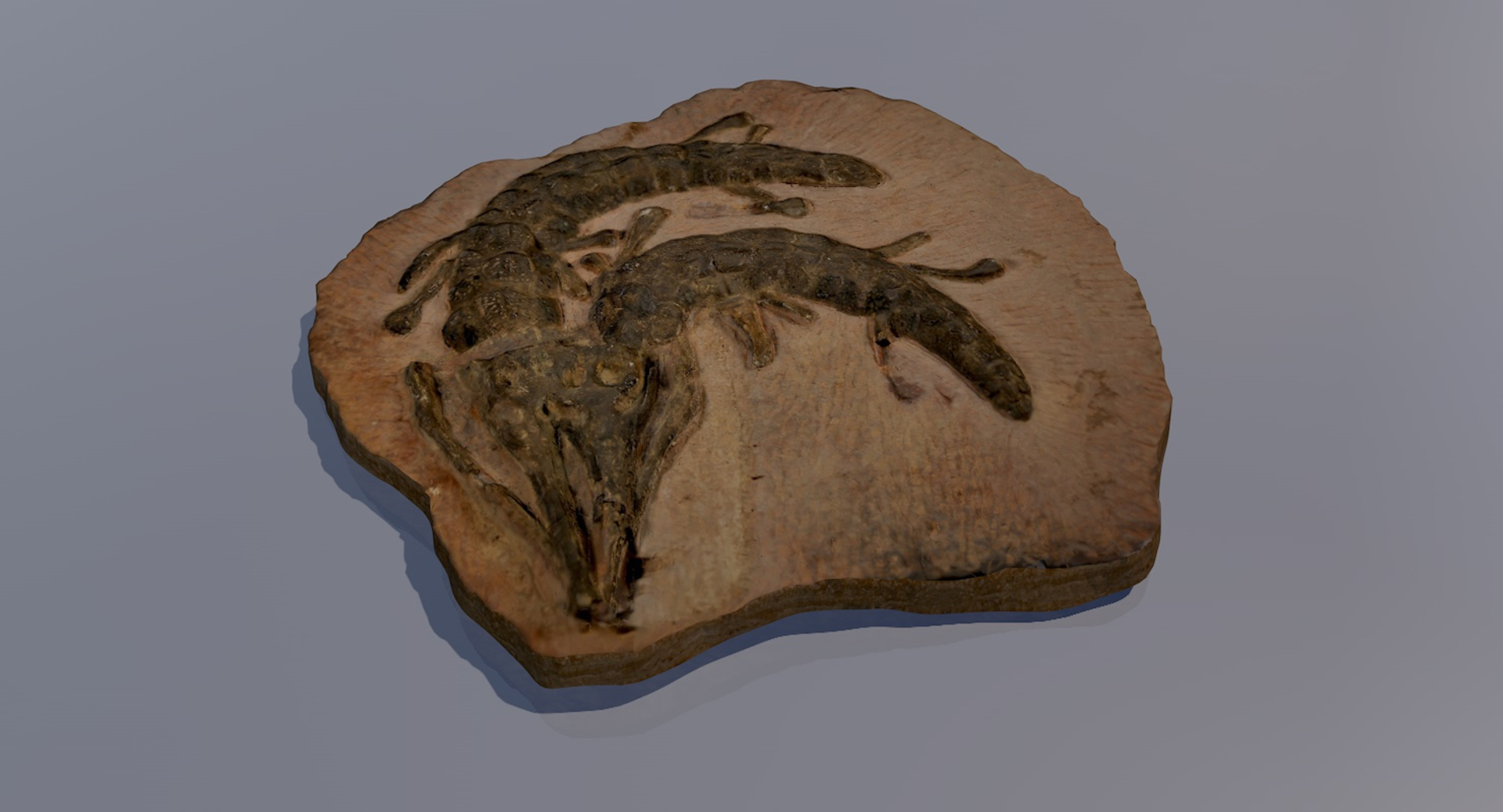 3D crocodile fossil https://p.turbosquid.com/ts-thumb/5Y/vTQ6ry/ElpcV7ia/surface360degre/jpg/1564550686/1920x1080/turn_fit_q99/95a9bf8e99aa1e0746fb4b570c9fc9642f69175f/surface360degre-1.jpg