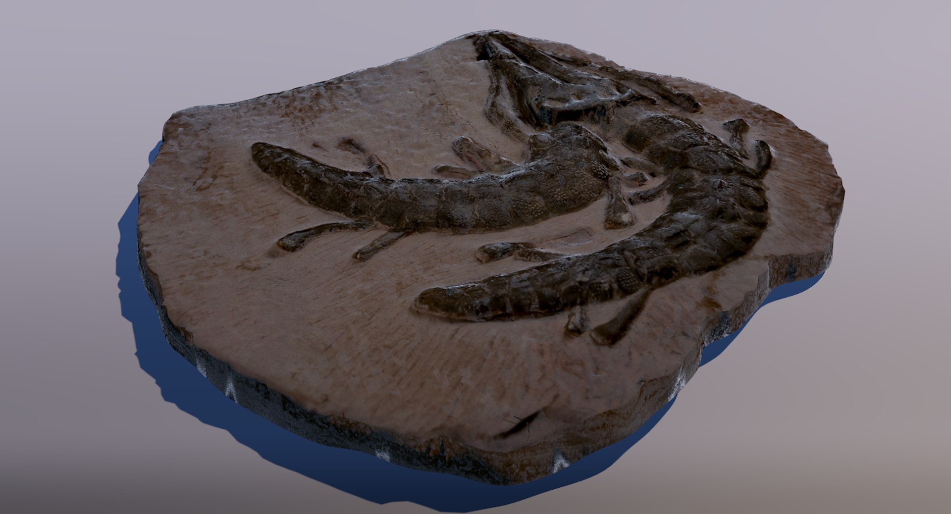 3D crocodile fossil https://p.turbosquid.com/ts-thumb/5Y/vTQ6ry/KEvR8FMc/mage3/png/1562373894/1920x1080/fit_q87/4a8ef1027591d9cb6b4f2ab9ca067ee0bcd2f41c/mage3.jpg