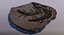 Crocodile Fossil