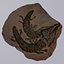 Crocodile Fossil