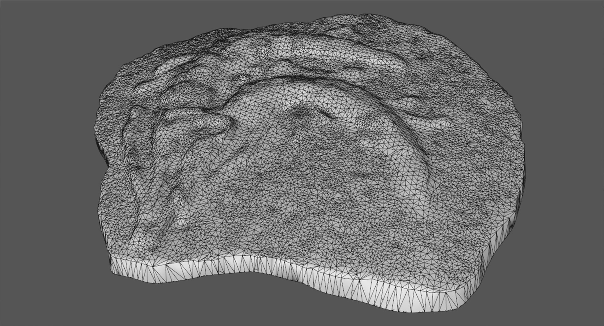 3D crocodile fossil https://p.turbosquid.com/ts-thumb/5Y/vTQ6ry/kElO03cI/wireframe1/png/1562373894/1920x1080/fit_q87/2213a81c077adf6015904bdefb8f7e213ee588dc/wireframe1.jpg