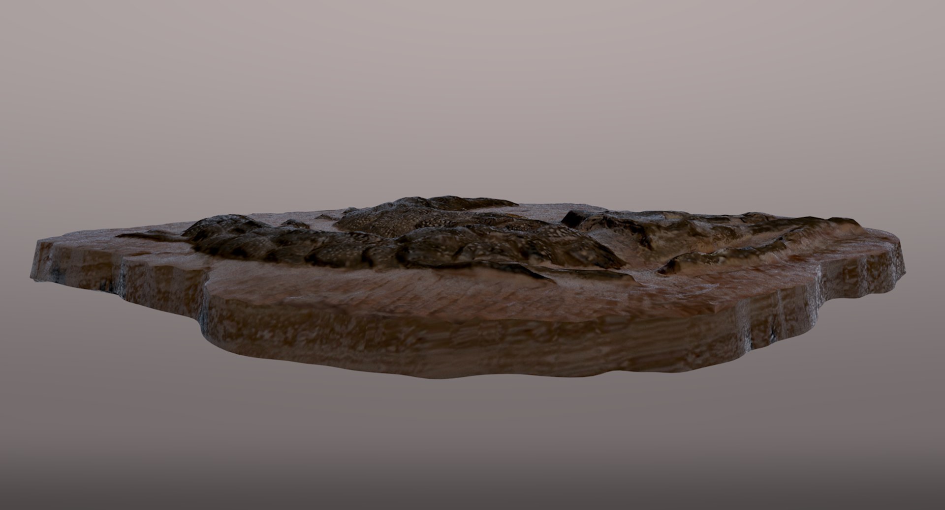 3D crocodile fossil https://p.turbosquid.com/ts-thumb/5Y/vTQ6ry/nKDYpJGk/mage4/png/1562373894/1920x1080/fit_q87/8be2f703f49773d45e6cc29561dc98fd42969b37/mage4.jpg