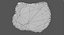 Crocodile Fossil