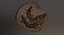 Crocodile Fossil