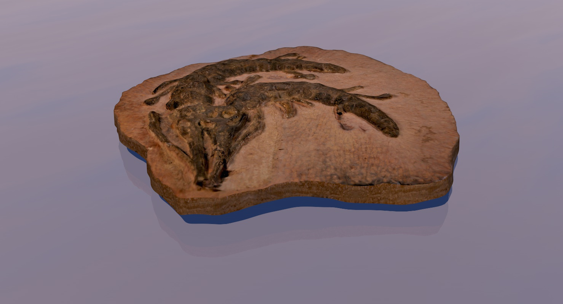 3D crocodile fossil https://p.turbosquid.com/ts-thumb/5Y/vTQ6ry/taHADYXz/surface/jpg/1564553186/1920x1080/turn_fit_q99/2755583175ba0f59e989dcce9ccca0838c95c9e7/surface-1.jpg