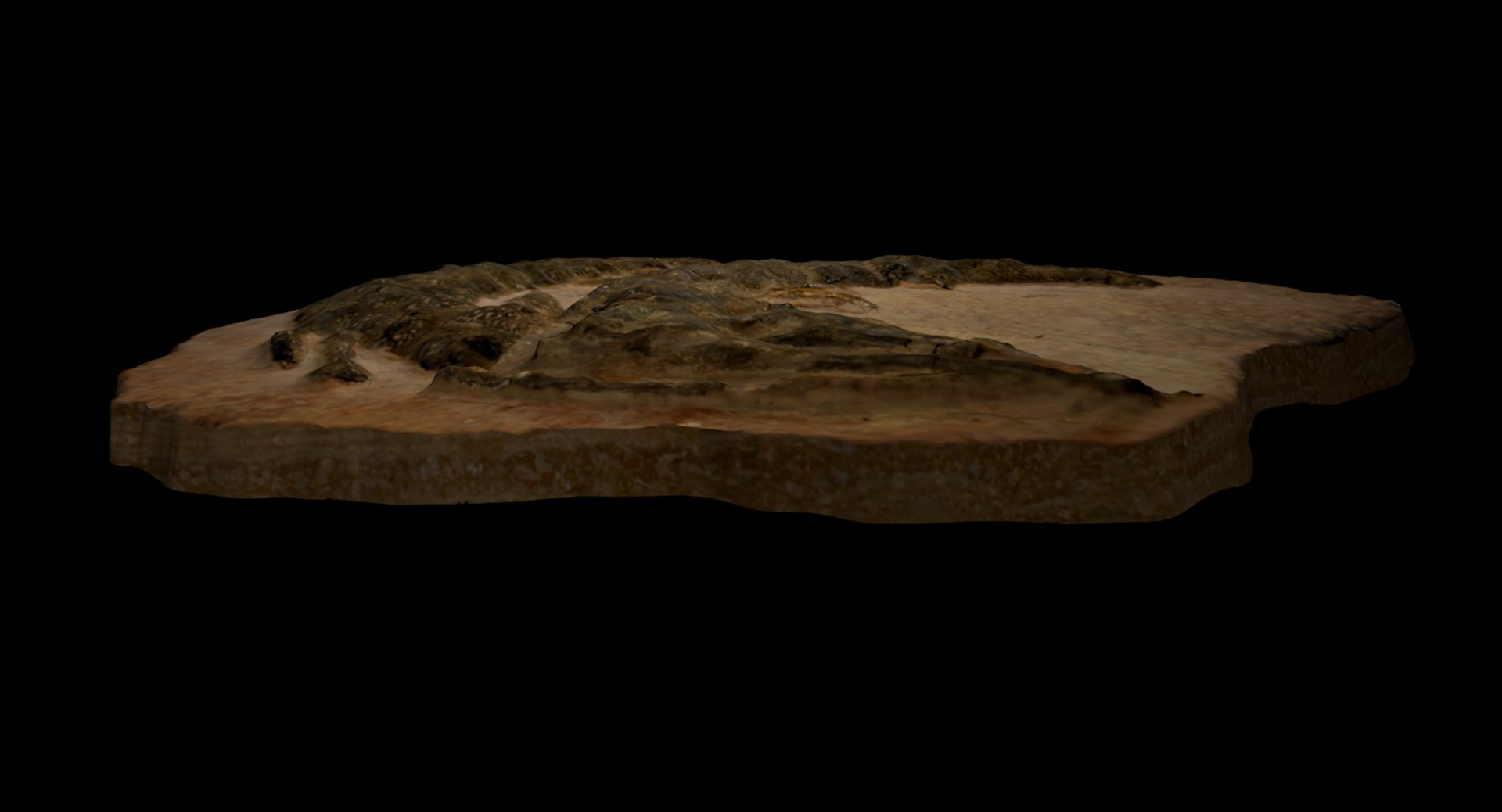 3D crocodile fossil https://p.turbosquid.com/ts-thumb/5Y/vTQ6ry/v9rUUKQf/screen2_0071/tif/1560987824/1920x1080/fit_q87/a2cfd1151f23bf8e6add751ad9f42b681c99ac7d/screen2_0071.jpg