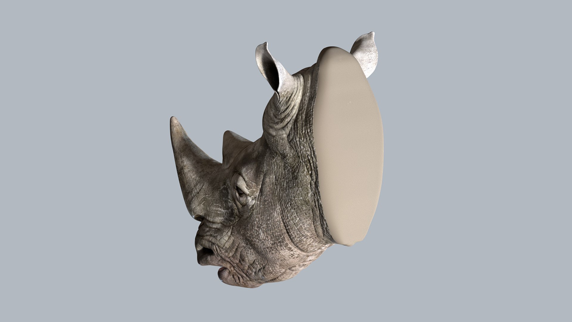 Head nerva 3D model - TurboSquid 1444527