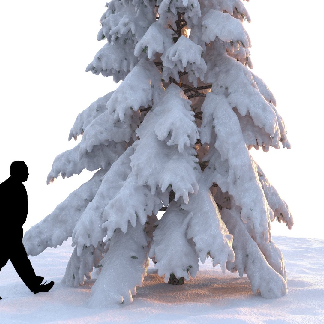 3d Model Winter Tree