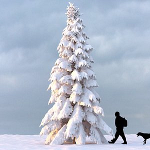 Winter Tree 11