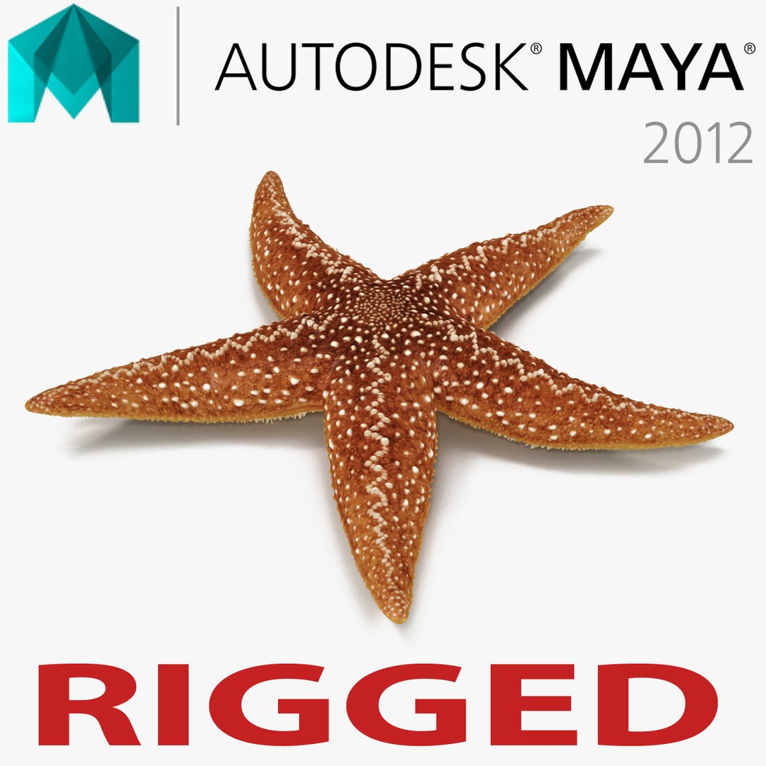 Starfish 2 Rigged for Maya 3D model preview