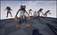 Petit crapaud