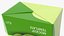 3D Small Aseptic Carton Mockup Green