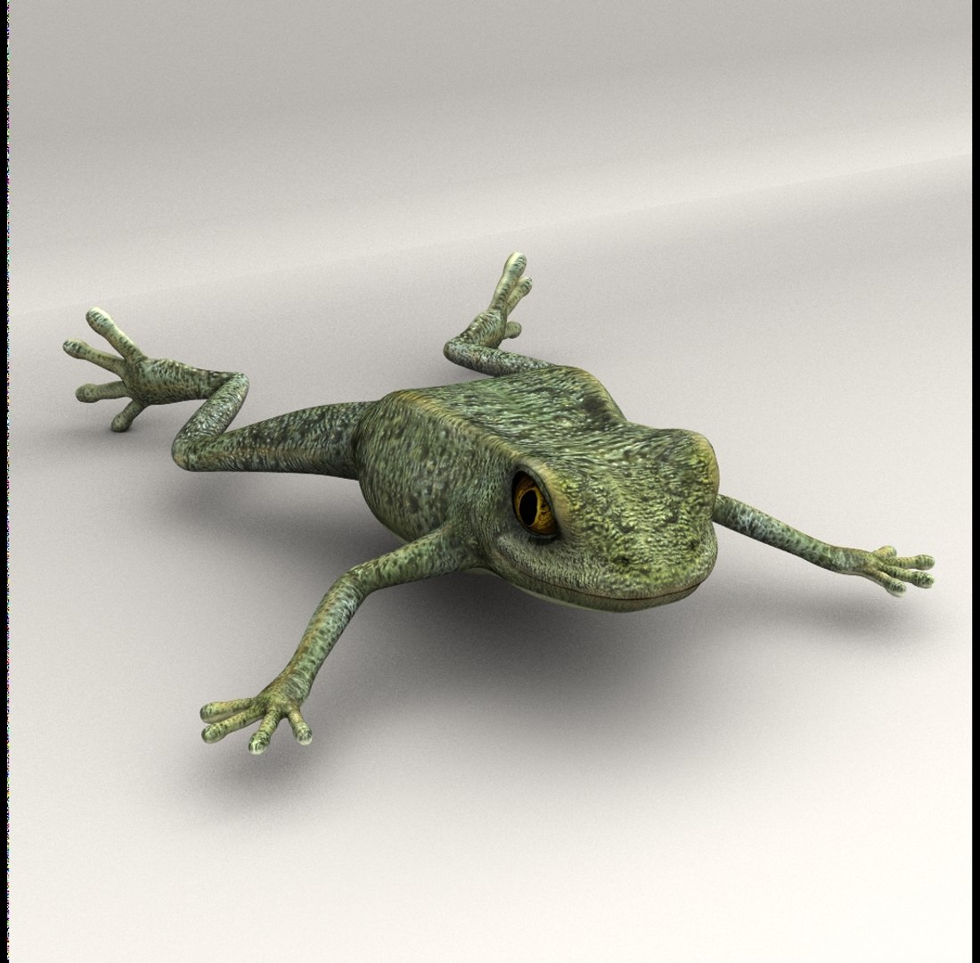 3d model green frog https://p.turbosquid.com/ts-thumb/5Z/IMNVwe/TSXbUqig/frog_render_v01/jpg/1385476426/1920x1080/fit_q87/13fb38306bddc07a7611f0eddf1607225f7ca041/frog_render_v01.jpg