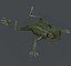 Green Frog
