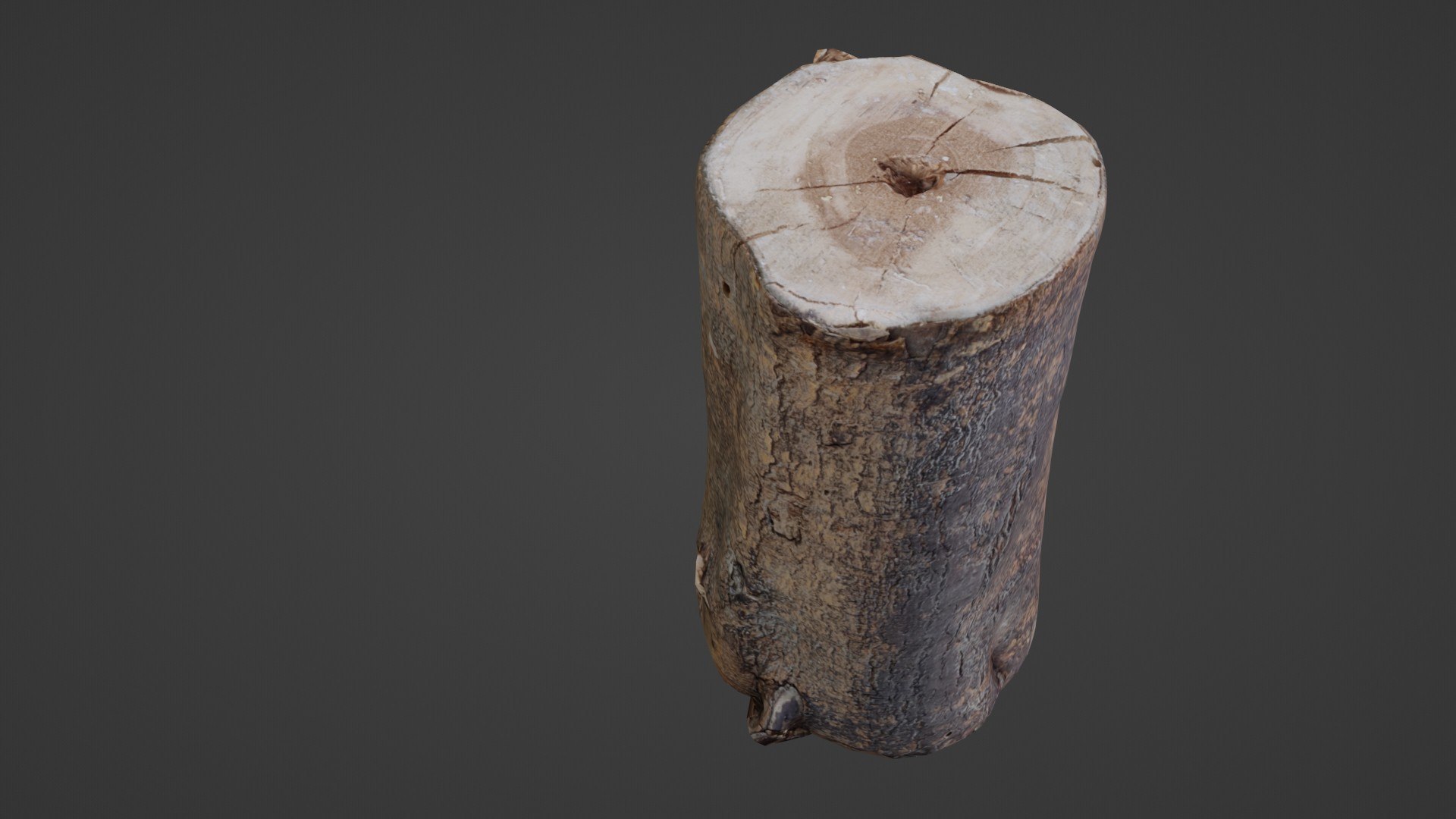 3D Realisitc Log - TurboSquid 2332090