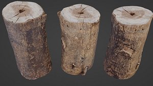 3D Realisitc log
