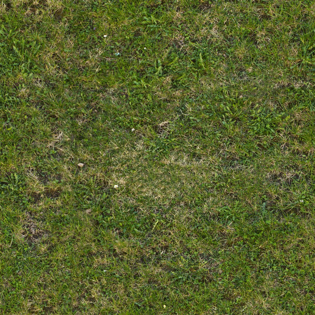 3dsmax patch grass https://p.turbosquid.com/ts-thumb/5Z/QQa4T5/ffSYEjO5/grass/jpg/1425771496/1920x1080/fit_q87/d4150933b445aadc58e8cb91fa479f3bc676a81e/grass.jpg