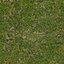 Grass Patch